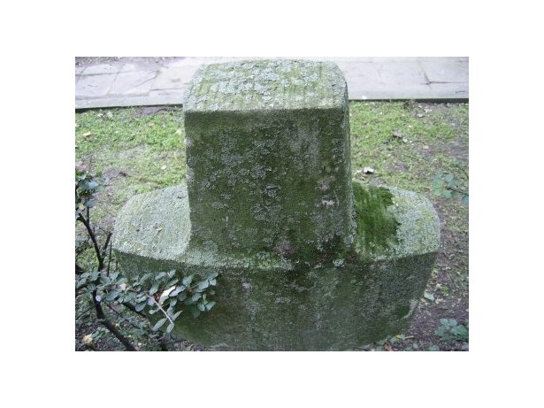 Zabytkowy krzyż pokryty glonami