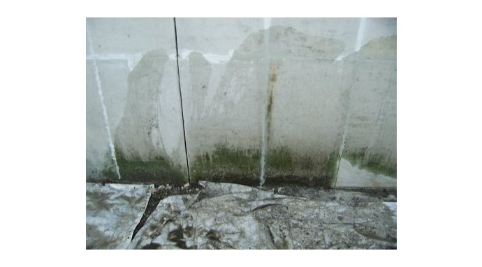 Elementy kamienne muru pokryte glonami