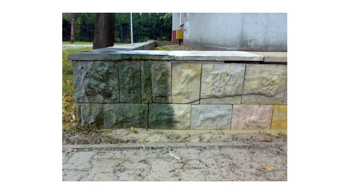 Czyszczenie wykwitów z zieleni na murze